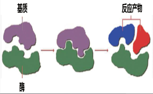 1656481520641406.jpg
