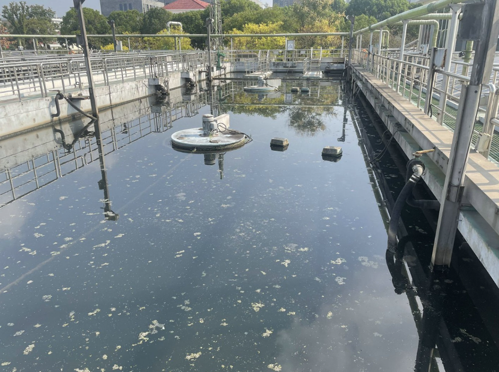 高氨氮污水處理